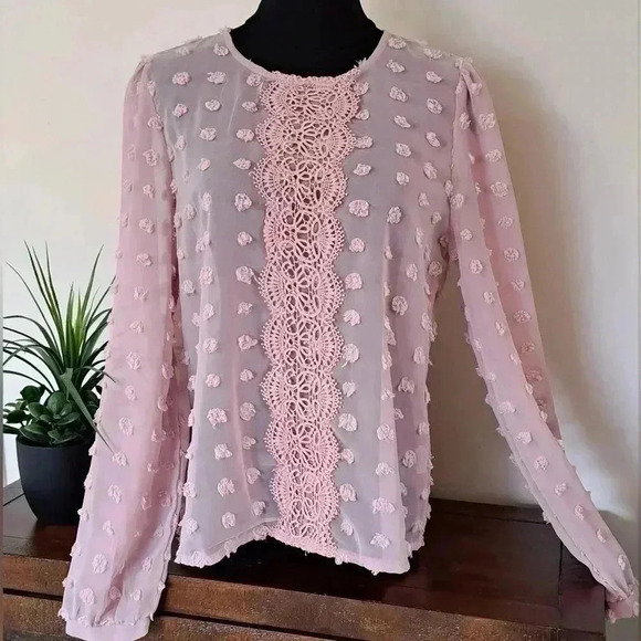 Pink Long Sleeved Sheer Blouse Women's Medium Shein Light Feminine Pretty - Picture 1 of 11